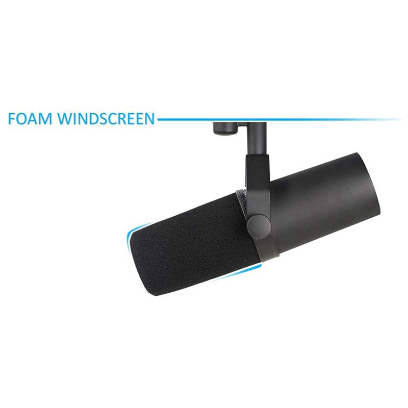 [A51I Digital] 8 Pezzi Paraven - Shure Mic Sm7B recensione e prezzo